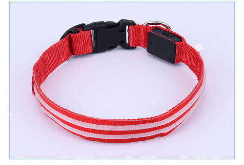 Pet Supplies LED Flash Dog Collar Nylon Translucent Double Fiber Mediu